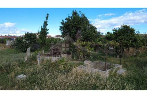 Terra a Alcains, Castelo Branco, Alcains - € 160.000 | Ref: 200 - foto 38