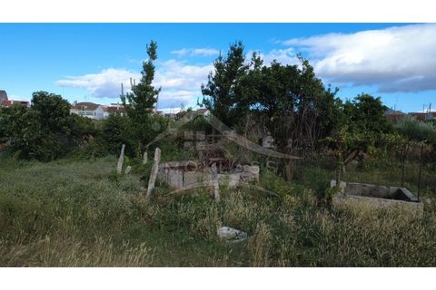 Terra a Alcains, Castelo Branco, Alcains - € 160.000 | Ref: 200 - foto 39