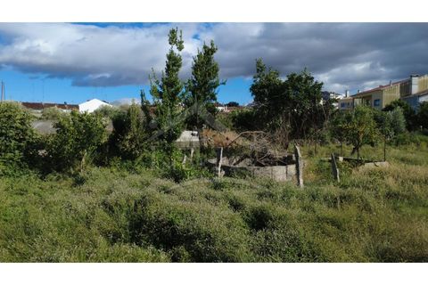Terra a Alcains, Castelo Branco, Alcains - € 160.000 | Ref: 200 - foto 40