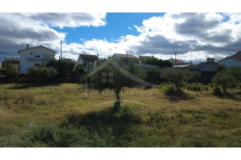 Terra a Alcains, Castelo Branco, Alcains - € 160.000 | Ref: 200 - foto 41