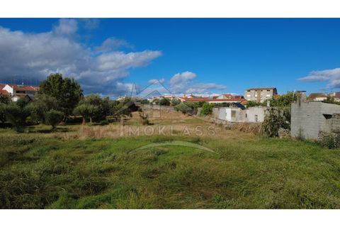 Terra a Alcains, Castelo Branco, Alcains - € 160.000 | Ref: 200 - foto 42