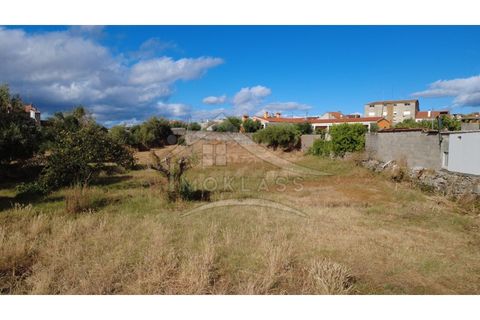 Terra a Alcains, Castelo Branco, Alcains - € 160.000 | Ref: 200 - foto 43
