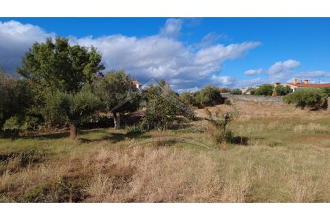 Terra a Alcains, Castelo Branco, Alcains - € 160.000 | Ref: 200 - foto 44