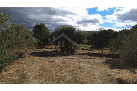 Terra a Alcains, Castelo Branco, Alcains - € 160.000 | Ref: 200 - foto 45