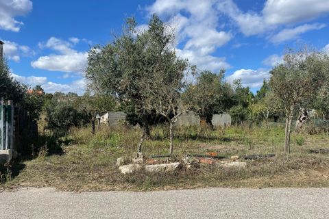 Helårsgrund i Abrantes, Santarem, Abrantes - € 38.000 | Ref: C0364-02799 - foto 2