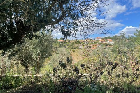 Helårsgrund i Abrantes, Santarem, Abrantes - € 38.000 | Ref: C0364-02799 - foto 3