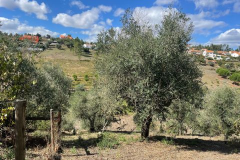 Helårsgrund i Abrantes, Santarem, Abrantes - € 38.000 | Ref: C0364-02799 - foto 4