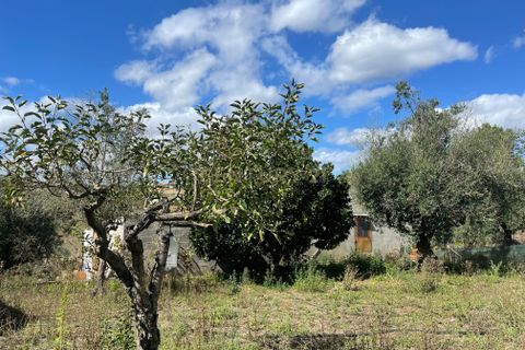 Helårsgrund i Abrantes, Santarem, Abrantes - € 38.000 | Ref: C0364-02799 - foto 6