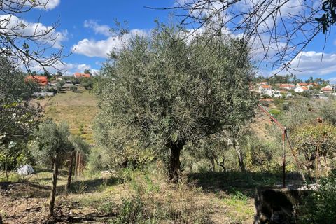 Helårsgrund i Abrantes, Santarem, Abrantes - € 38.000 | Ref: C0364-02799 - foto 7