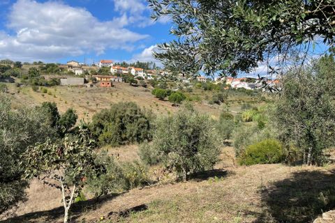 Helårsgrund i Abrantes, Santarem, Abrantes - € 38.000 | Ref: C0364-02799 - foto 8