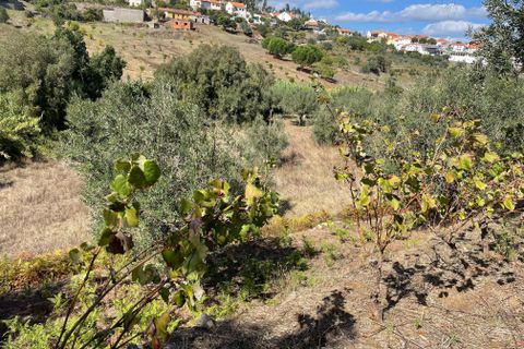 Helårsgrund i Abrantes, Santarem, Abrantes - € 38.000 | Ref: C0364-02799 - foto 9