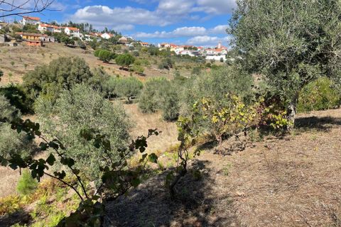Helårsgrund i Abrantes, Santarem, Abrantes - € 38.000 | Ref: C0364-02799 - foto 10