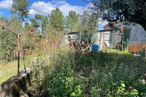 Helårsgrund i Abrantes, Santarem, Abrantes - € 38.000 | Ref: C0364-02799 - foto 11