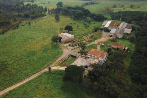Masia a Santarem, Santarem, Santarem - € 2.200.000 | Ref: C0364-03005 - foto 4