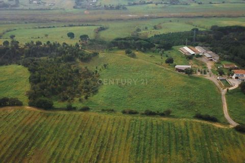 Masia a Santarem, Santarem, Santarem - € 2.200.000 | Ref: C0364-03005 - foto 13