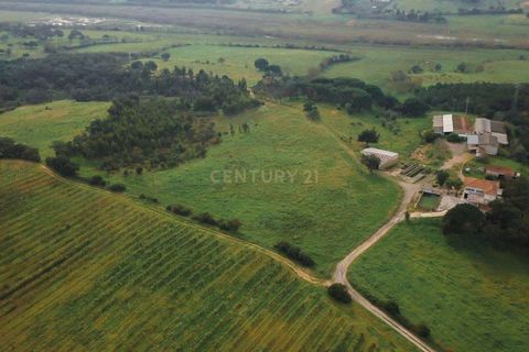 Masia a Santarem, Santarem, Santarem - € 2.200.000 | Ref: C0364-03005 - foto 18