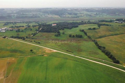 Masia a Santarem, Santarem, Santarem - € 2.200.000 | Ref: C0364-03005 - foto 19