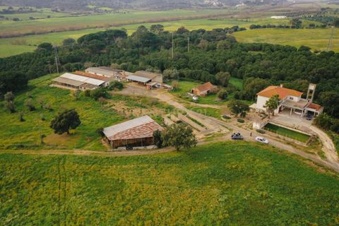 Masia a Santarem, Santarem, Santarem - € 2.200.000 | Ref: C0364-03005 - foto 11