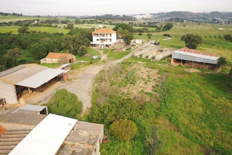 Masia a Santarem, Santarem, Santarem - € 2.200.000 | Ref: C0364-03005 - foto 12