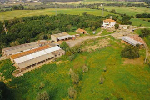 Masia a Santarem, Santarem, Santarem - € 2.200.000 | Ref: C0364-03005 - foto 10