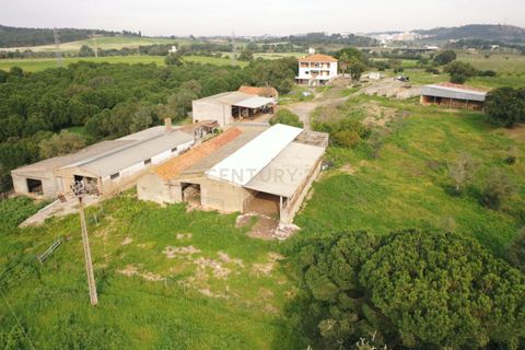 Masia a Santarem, Santarem, Santarem - € 2.200.000 | Ref: C0364-03005 - foto 9