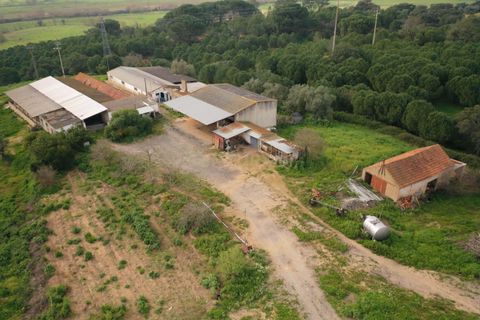 Masia a Santarem, Santarem, Santarem - € 2.200.000 | Ref: C0364-03005 - foto 15