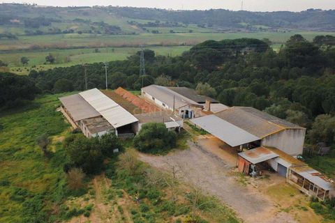 Masia a Santarem, Santarem, Santarem - € 2.200.000 | Ref: C0364-03005 - foto 14