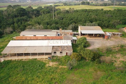 Masia a Santarem, Santarem, Santarem - € 2.200.000 | Ref: C0364-03005 - foto 16