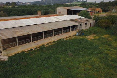Masia a Santarem, Santarem, Santarem - € 2.200.000 | Ref: C0364-03005 - foto 17