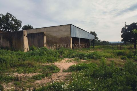 Masia a Santarem, Santarem, Santarem - € 2.200.000 | Ref: C0364-03005 - foto 50