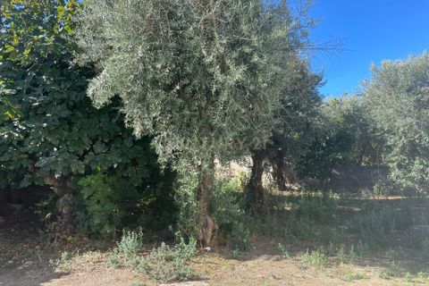 Villa i Abrantes, Santarem, Abrantes - € 57.000 | Ref: C0364-03825 - foto 10