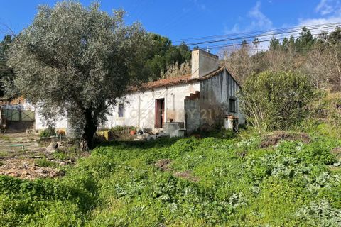 Villa i Abrantes, Santarem, Abrantes - € 57.000 | Ref: C0364-03825 - foto 1