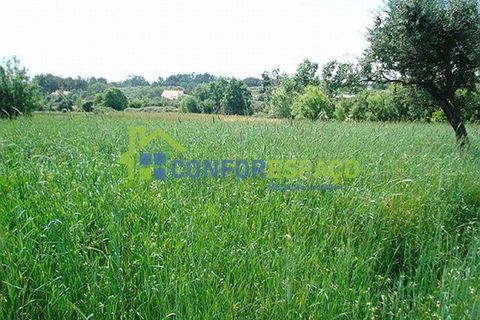 Landejendom i Fundao, Castelo Branco, Fundao - € 120.000 | Ref: 08854 - foto 2