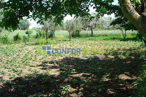 Landejendom i Fundao, Castelo Branco, Fundao - € 120.000 | Ref: 08854 - foto 3