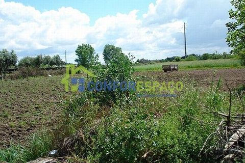 Landejendom i Fundao, Castelo Branco, Fundao - € 120.000 | Ref: 08854 - foto 4