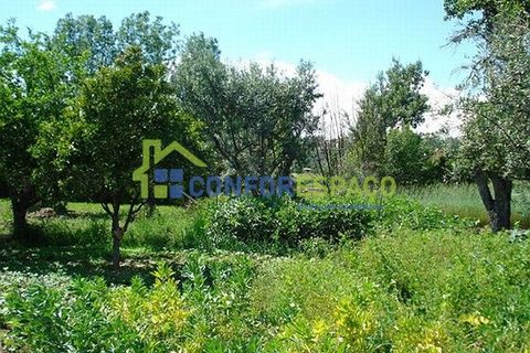 Landejendom i Fundao, Castelo Branco, Fundao - € 120.000 | Ref: 08854 - foto 5