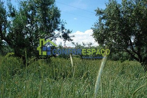 Landejendom i Fundao, Castelo Branco, Fundao - € 120.000 | Ref: 08854 - foto 6