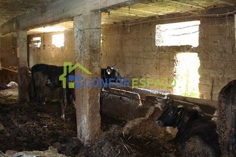 Landejendom i Fundao, Castelo Branco, Fundao - € 120.000 | Ref: 08854 - foto 7