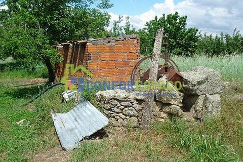 Landejendom i Fundao, Castelo Branco, Fundao - € 120.000 | Ref: 08854 - foto 8