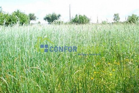 Landejendom i Fundao, Castelo Branco, Fundao - € 120.000 | Ref: 08854 - foto 9