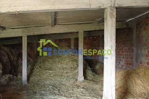 Landejendom i Fundao, Castelo Branco, Fundao - € 120.000 | Ref: 08854 - foto 14