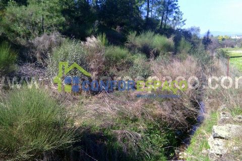 Helårsgrund i Castelo Branco, Castelo Branco, Castelo Branco - € 200.000 | Ref: 17045 - foto 1