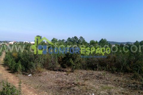 Helårsgrund i Castelo Branco, Castelo Branco, Castelo Branco - € 200.000 | Ref: 17045 - foto 2