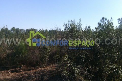 Helårsgrund i Castelo Branco, Castelo Branco, Castelo Branco - € 200.000 | Ref: 17045 - foto 3