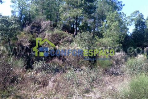 Helårsgrund i Castelo Branco, Castelo Branco, Castelo Branco - € 200.000 | Ref: 17045 - foto 4