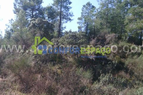 Helårsgrund i Castelo Branco, Castelo Branco, Castelo Branco - € 200.000 | Ref: 17045 - foto 5