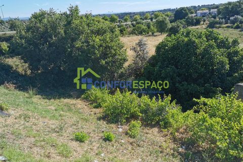 Helårsgrund i Castelo Branco, Castelo Branco, Castelo Branco - € 430.000 | Ref: 21058 - foto 2
