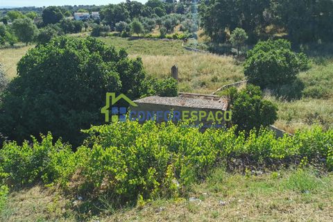 Helårsgrund i Castelo Branco, Castelo Branco, Castelo Branco - € 430.000 | Ref: 21058 - foto 5