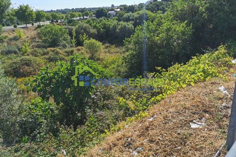 Helårsgrund i Castelo Branco, Castelo Branco, Castelo Branco - € 430.000 | Ref: 21058 - foto 6
