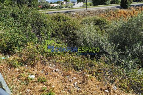 Helårsgrund i Castelo Branco, Castelo Branco, Castelo Branco - € 430.000 | Ref: 21058 - foto 7
